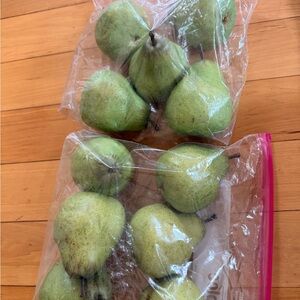 Pottery Barn Lush Green Decorative Pears